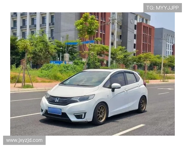 11万公里本田飞度地球梦,我亲身体验燃油宝去积碳 11万公里本田飞度地球梦,我亲身体验燃油宝去积碳